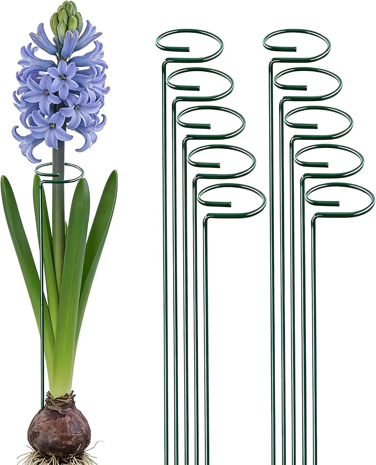 10 Pieces 16 inch Green Single Stem Plant Stakes Garden Plant Support Rings Flower Support Hoops Prop for Amaryllis Orchid Lily Rose Peony